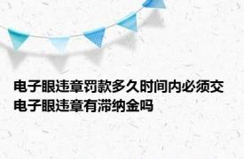 电子眼违章罚款多久时间内必须交 电子眼违章有滞纳金吗