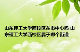 山东理工大学西校区在市中心吗 山东理工大学西校区属于哪个街道