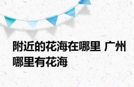 附近的花海在哪里 广州哪里有花海