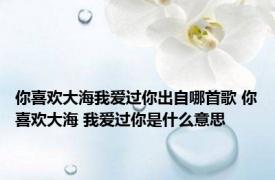 你喜欢大海我爱过你出自哪首歌 你喜欢大海 我爱过你是什么意思