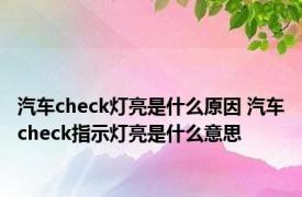 汽车check灯亮是什么原因 汽车check指示灯亮是什么意思