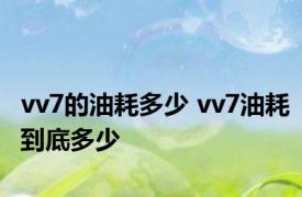 vv7的油耗多少 vv7油耗到底多少