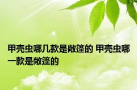 甲壳虫哪几款是敞篷的 甲壳虫哪一款是敞篷的