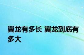 翼龙有多长 翼龙到底有多大