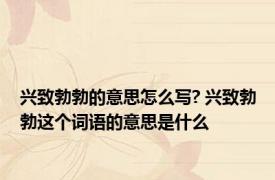 兴致勃勃的意思怎么写? 兴致勃勃这个词语的意思是什么