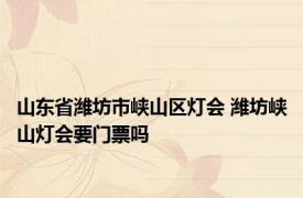 山东省潍坊市峡山区灯会 潍坊峡山灯会要门票吗