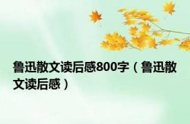 鲁迅散文读后感800字（鲁迅散文读后感）