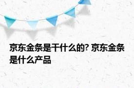 京东金条是干什么的? 京东金条是什么产品