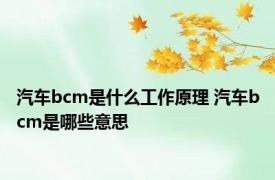 汽车bcm是什么工作原理 汽车bcm是哪些意思