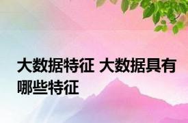 大数据特征 大数据具有哪些特征