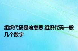 组织代码是啥意思 组织代码一般几个数字