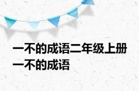 一不的成语二年级上册 一不的成语