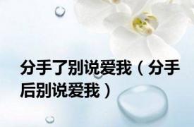 分手了别说爱我（分手后别说爱我）