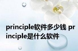 principle软件多少钱 principle是什么软件