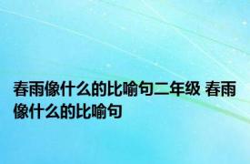 春雨像什么的比喻句二年级 春雨像什么的比喻句