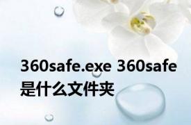 360safe.exe 360safe是什么文件夹