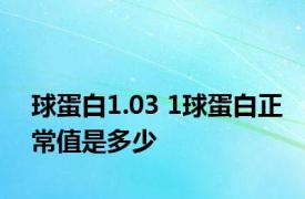 球蛋白1.03 1球蛋白正常值是多少