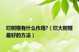 烂树根有什么作用?（烂大树根最好的方法）