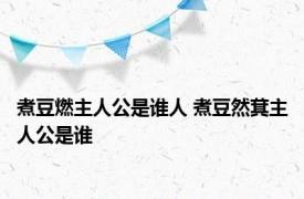 煮豆燃主人公是谁人 煮豆然萁主人公是谁