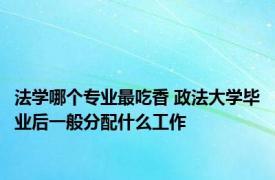 法学哪个专业最吃香 政法大学毕业后一般分配什么工作