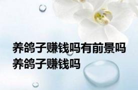 养鸽子赚钱吗有前景吗 养鸽子赚钱吗