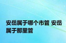 安岳属于哪个市管 安岳属于那里管