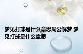 梦见打球是什么意思周公解梦 梦见打球是什么意思