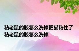 粘老鼠的胶怎么洗掉把猫粘住了 粘老鼠的胶怎么洗掉