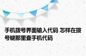 手机拨号界面输入代码 怎样在拨号键那里查手机代码