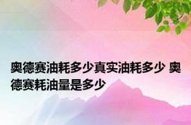 奥德赛油耗多少真实油耗多少 奥德赛耗油量是多少