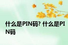 什么是PIN码? 什么是PIN码