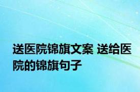 送医院锦旗文案 送给医院的锦旗句子