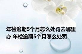 年检逾期5个月怎么处罚去哪里办 年检逾期5个月怎么处罚