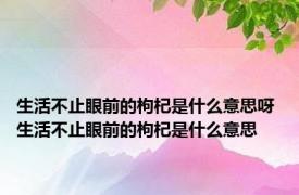 生活不止眼前的枸杞是什么意思呀 生活不止眼前的枸杞是什么意思