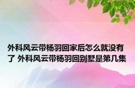 外科风云带杨羽回家后怎么就没有了 外科风云带杨羽回别墅是第几集