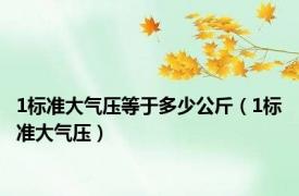 1标准大气压等于多少公斤（1标准大气压）