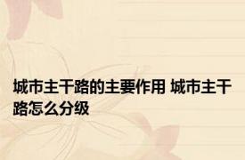 城市主干路的主要作用 城市主干路怎么分级