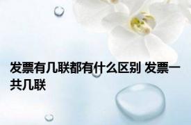 发票有几联都有什么区别 发票一共几联