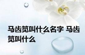 马齿笕叫什么名字 马齿笕叫什么