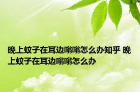 晚上蚊子在耳边嗡嗡怎么办知乎 晚上蚊子在耳边嗡嗡怎么办