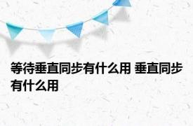 等待垂直同步有什么用 垂直同步有什么用