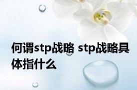 何谓stp战略 stp战略具体指什么