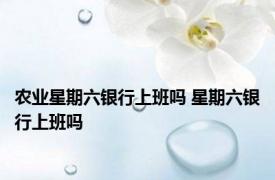 农业星期六银行上班吗 星期六银行上班吗