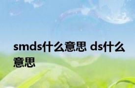 smds什么意思 ds什么意思