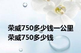 荣威750多少钱一公里 荣威750多少钱 