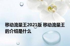 移动流量王2021版 移动流量王的介绍是什么