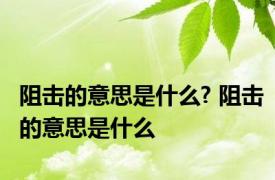 阻击的意思是什么? 阻击的意思是什么