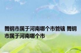 舞钢市属于河南哪个市管辖 舞钢市属于河南哪个市