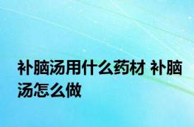 补脑汤用什么药材 补脑汤怎么做