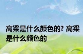 高粱是什么颜色的? 高粱是什么颜色的